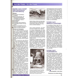 2002-2/2 - Zerstörung von Baudenkmälern – Naturkatastrophen – mangelhafte Instandhaltung - Seite 2