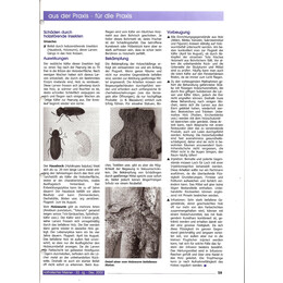 2002-4/2 - Schutz von Baudenkmälern vor Zerstörung – Holz - Seite 2