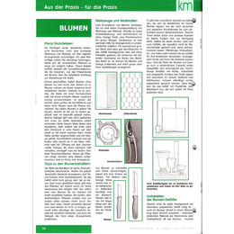 2003-4/1 - Blumen – Etwas Grundwissen - Seite 1