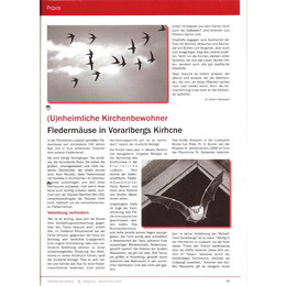 2008-3/2 - Was in und um die Kirche lebt – von Turmfalken, Mauerseglern und Fledermäusen - Seite 2