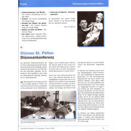 2009-1/2 - Der Mesner als Kirchenpfleger - Seite 2