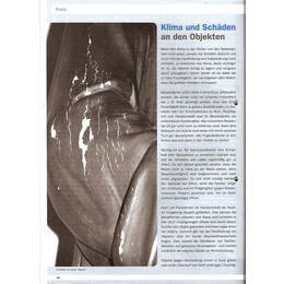 2009-3/1 - Klima und Schäden an den Objekten - Seite 1