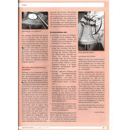 2012-2/2 - Glocken - Liturgisches Glockenläuten – … Läuten … verlang nach einer Ordnung - Seite 2