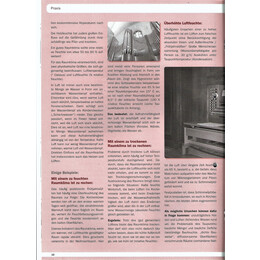 2013-4/2 - Orgel - Über die Pflege von Orgeln - Seite 2